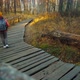 Dog and Woman Walk on Wood Path - VideoHive Item for Sale