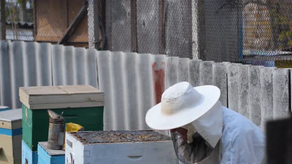 Man in Protective Suit Beekeeper Works with Beehives in Apiary Uses Smoker Device To Scare Away Evil