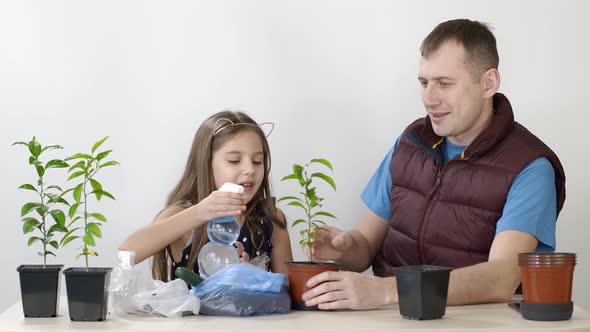 Father and Daughter Transplanted Indoor Plant Mandarin Little Girl Puts Earth in the Pot. Close-up