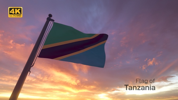 Tanzania Flag on a Flagpole V3 - 4K