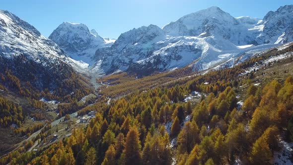 Aerial shot over larch trees with Autumn colors in the Swiss Alps (Arolla, Valais)