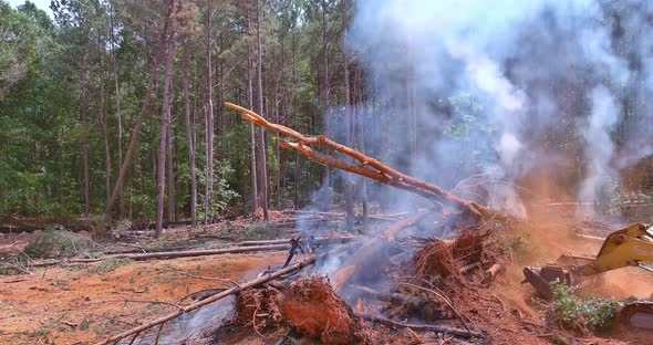 With Ecological Disaster a Tractor Filled Sand is to Fire in the Forest