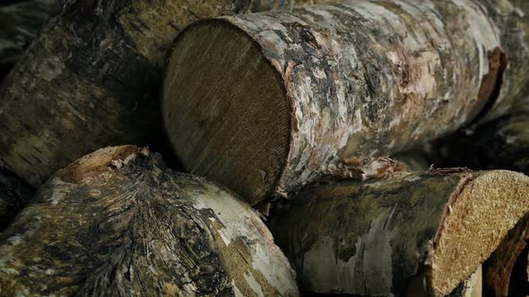 Logs Stacked For Fire Wood