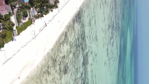 Vertical Video of the Coast of Zanzibar Island Tanzania Slow Motion