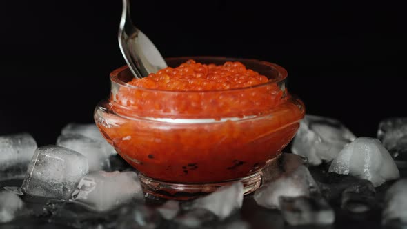 Red salmon salted roe caviar in big jar on black background close-up. Tasting salmon caviar