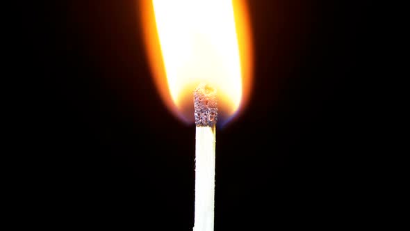 Igniting Match and Flame on a Black Background