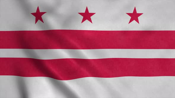 District of Columbia Flag Waving in the Wind