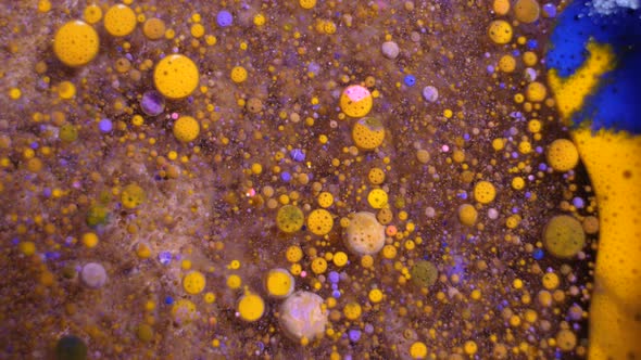 Colorful Acrylic Paints Mix in Beautiful Patterns alt