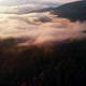 Aerial view: Amazing Thick Morning Fog Covering Mountains Spice and Spruce Forest. - VideoHive Item for Sale