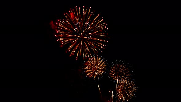 Many flashing colorful fireworks in event amazing with black background celebrate New Year.