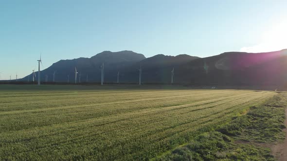 General view of wind turbines in countryside landscape with cloudless sky