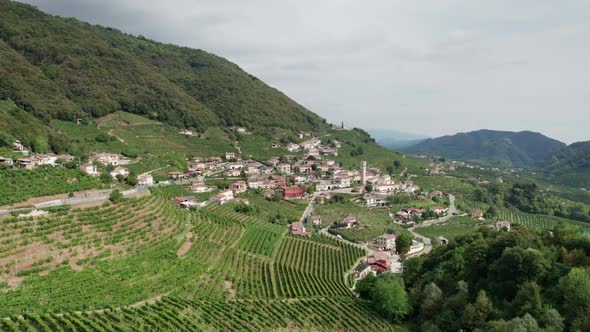 Aerial View of Vineyard Fields on the Hills in Italy Growing Rows of Grapes