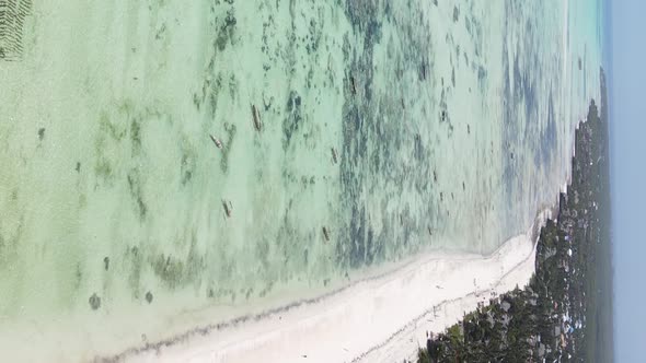 Zanzibar Tanzania  Vertical Video of Low Tide in the Ocean Near the Coast Slow Motion