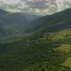 Beautiful natural scenery of tropical green forest with trees and mountain in background Drone Shot - VideoHive Item for Sale