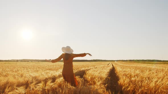 Pregnant woman in the rays of the sunset in the field