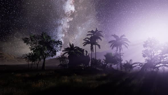 Milky Way Galaxy Over Tropical Rainforest. alt