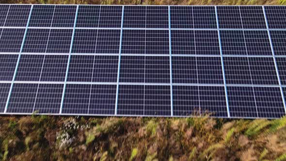 Solar Panels Farm in the Field