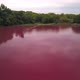 Aerial View of Toxic Pink Lake at Nature, Industrial Zone with Pollution - VideoHive Item for Sale