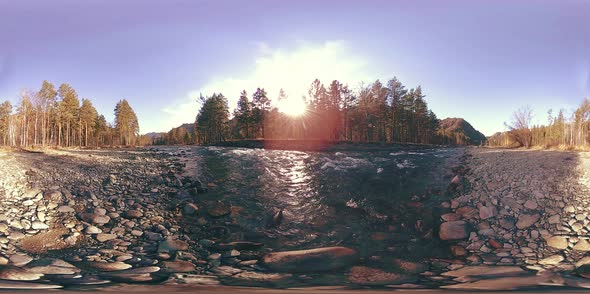 360 VR Virtual Reality of a Wild Mountains, Pine Forest and River Flows. National Park, Meadow and