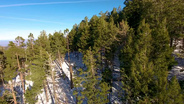 Cinematic rising drone shot of snow covered Mount Lemmon Arizona