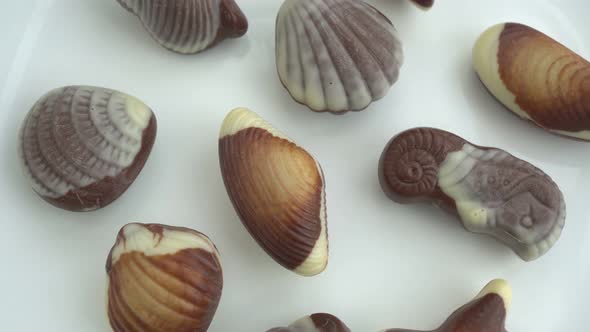 Rotation Seashell Chocolates Background