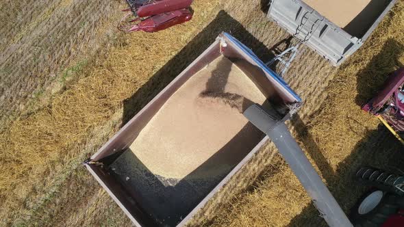 Combine harvesters pour grain into the truck top view.