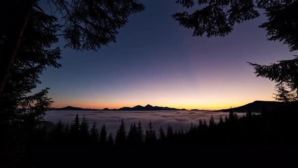 Blue Evening Light in Mountains Forest with Foggy Clouds Nature Landscape