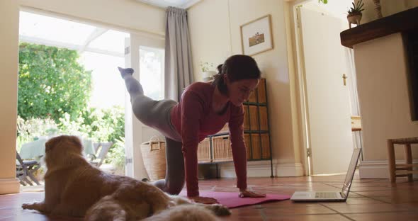 Caucasian woman exercising with her pet dog using laptop at home