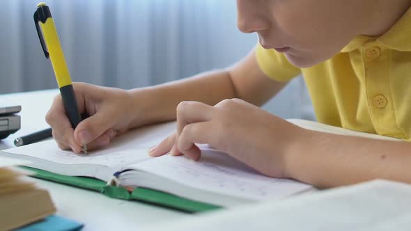 Attentive Boy Writing Home Work in Copybook After School Lessons, Education