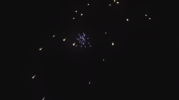 Firework