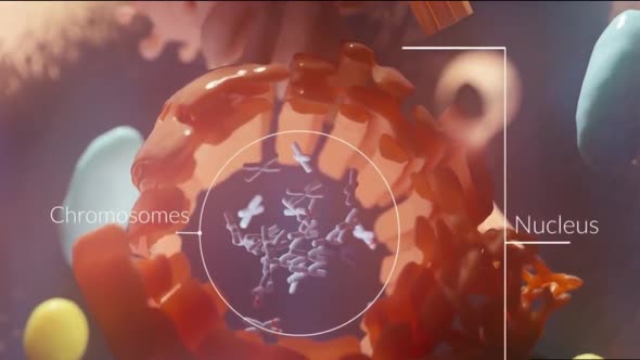 neurobiology, nervous system cells alt