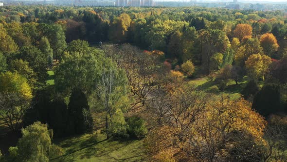 Top View of the Autumn Minsk Botanical Garden