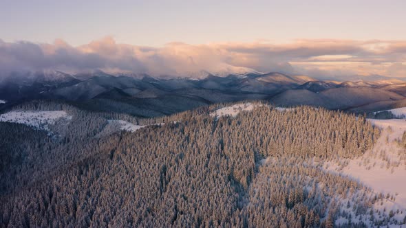 Aerial Landscape of Winter Season at Sunrise light. Flyover Frozen forest