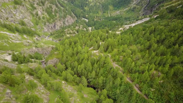 Natural path in a green valley in the swiss alps. Aerial drone shot of a fir trees forest
