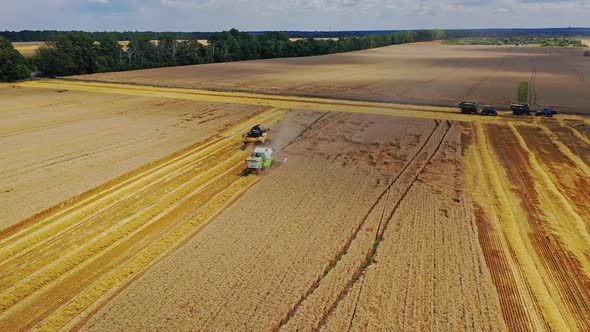 Harvesting fields skyline. Agriculture machine harvesting crop in fields