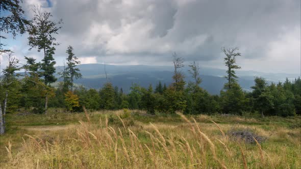 Mountain panorama, meadow, forest with mountains in background and dramatic cloudscape