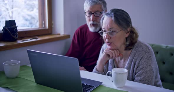 Elderly Couple Understands How the Computer Works Husband and Wife Put on Glasses to Understand