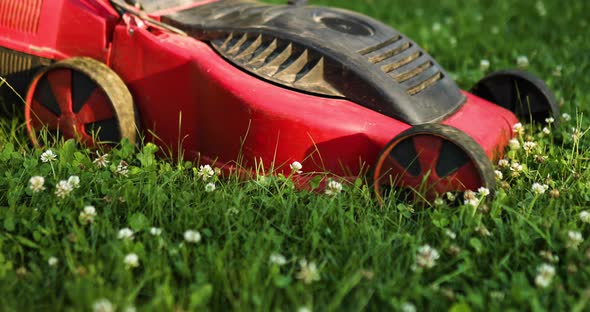 Woman mows the lawn with a lawn mower grass at home garden, gardener woman working