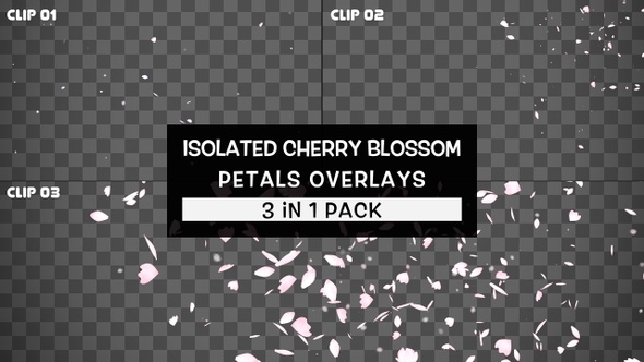 Isolated Cherry Blossom Petals Overlays Pack
