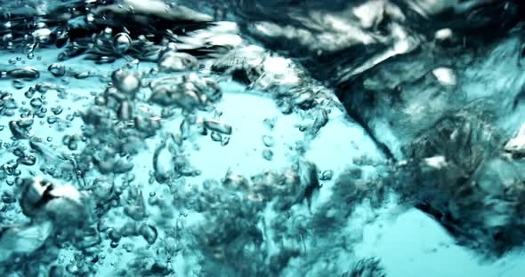 Water drips into a blue water surface - white background