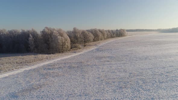 Winter Landscape in Countryside