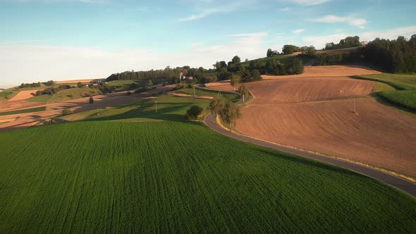 Empty winding asphalt road between yellow and green agriculture fields in evening sunset lights