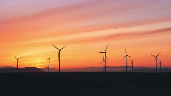 Wind Farm At The Sunset