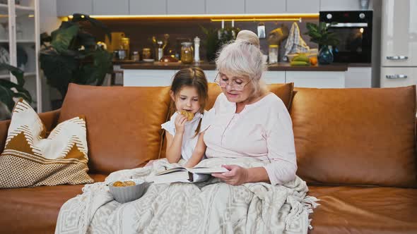 Old Granny is Reading a Book for Granddaughter Who Eating Cookies Sitting on Sofa Studio Apartment