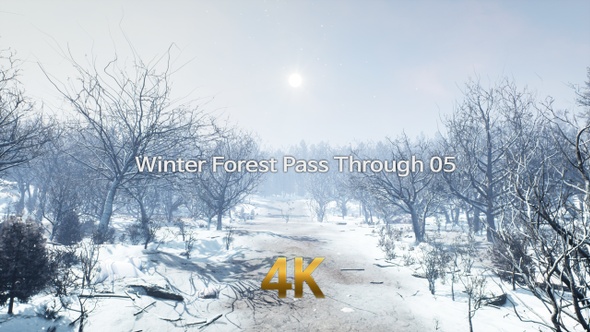 Winter Forest Pass Through 4K 05