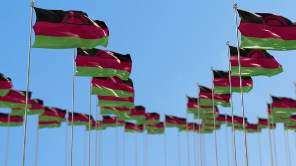 Malawi Row Of National flags Walk Throw Animation