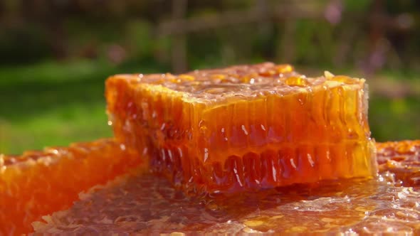 Piece of the Fresh Honeycomb Laying the Wooden Table