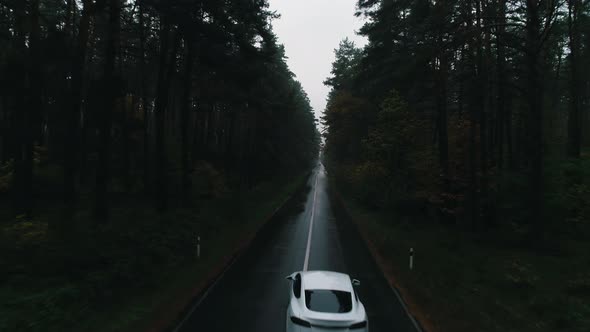 Tesla Rides on a Forest Road