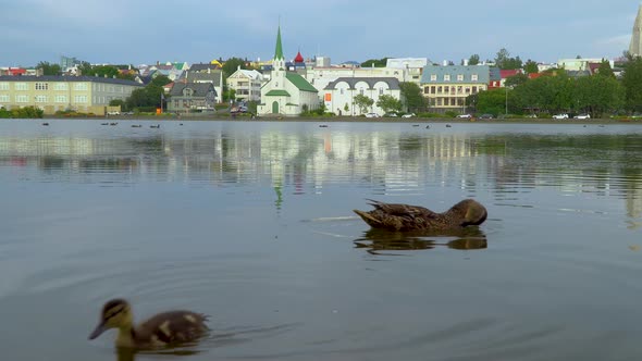 Cityscape of Reykjavik Near Tjornin Lake