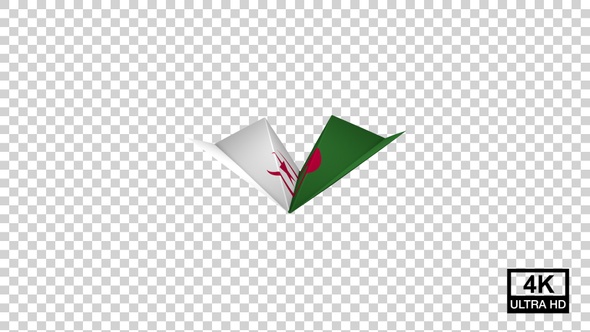 Paper Airplane Of Algeria Flag V3